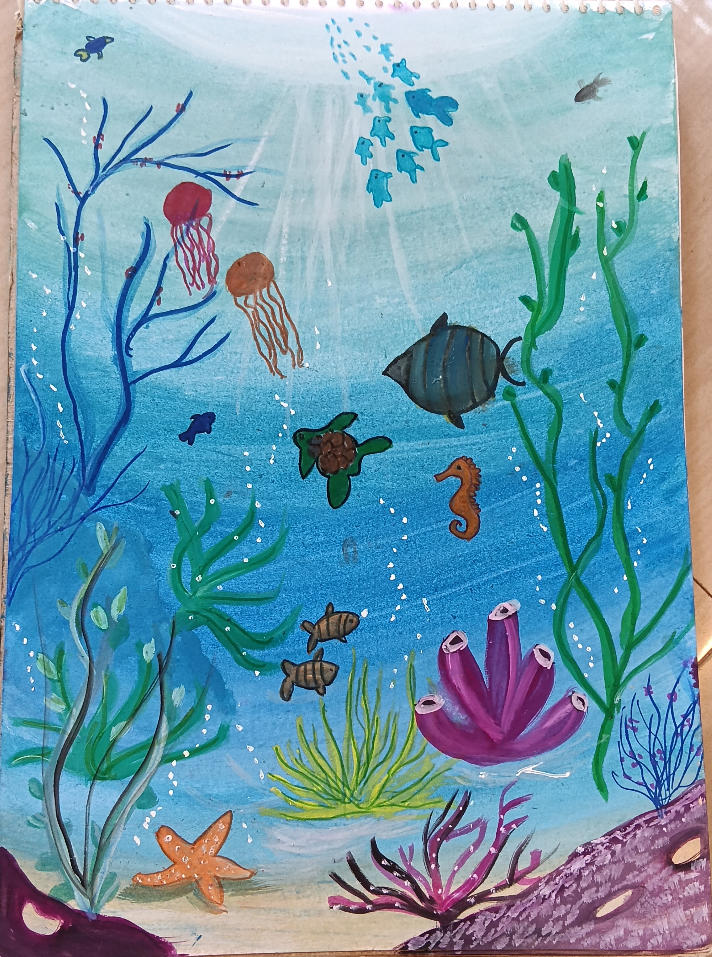 Beneath the surface: the living ocean