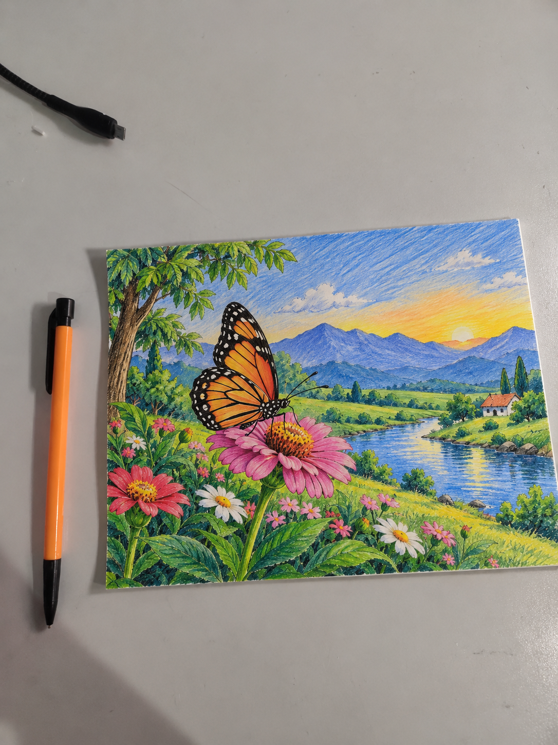 Butterfly and nature